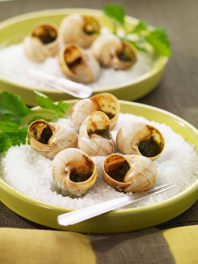 Snails from Bourgogne with parsley butter