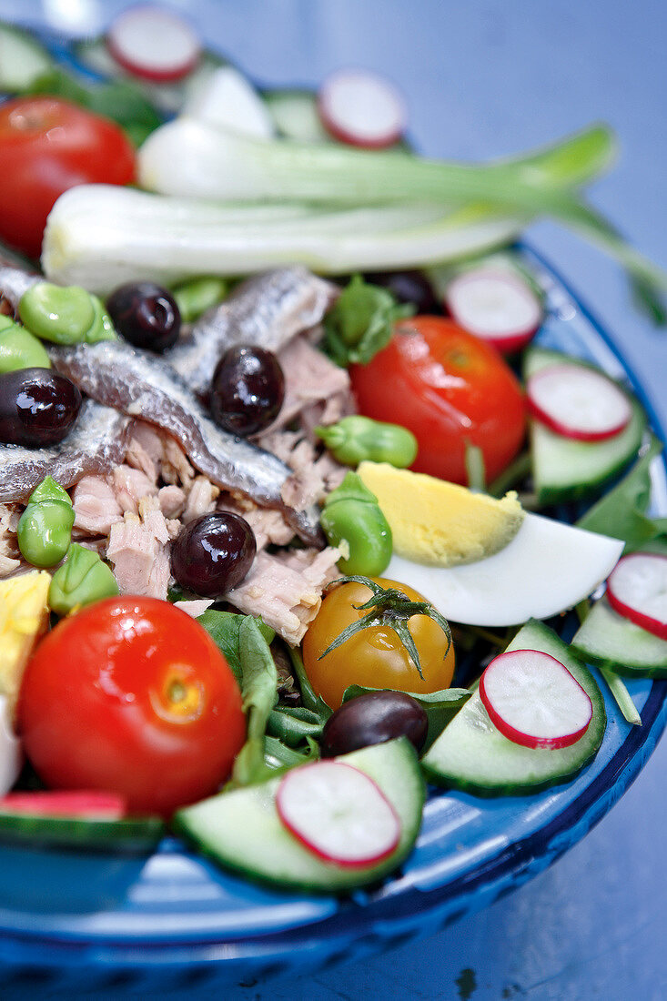 Mediterraner Salat mit Thunfisch, Anchovis und Ei