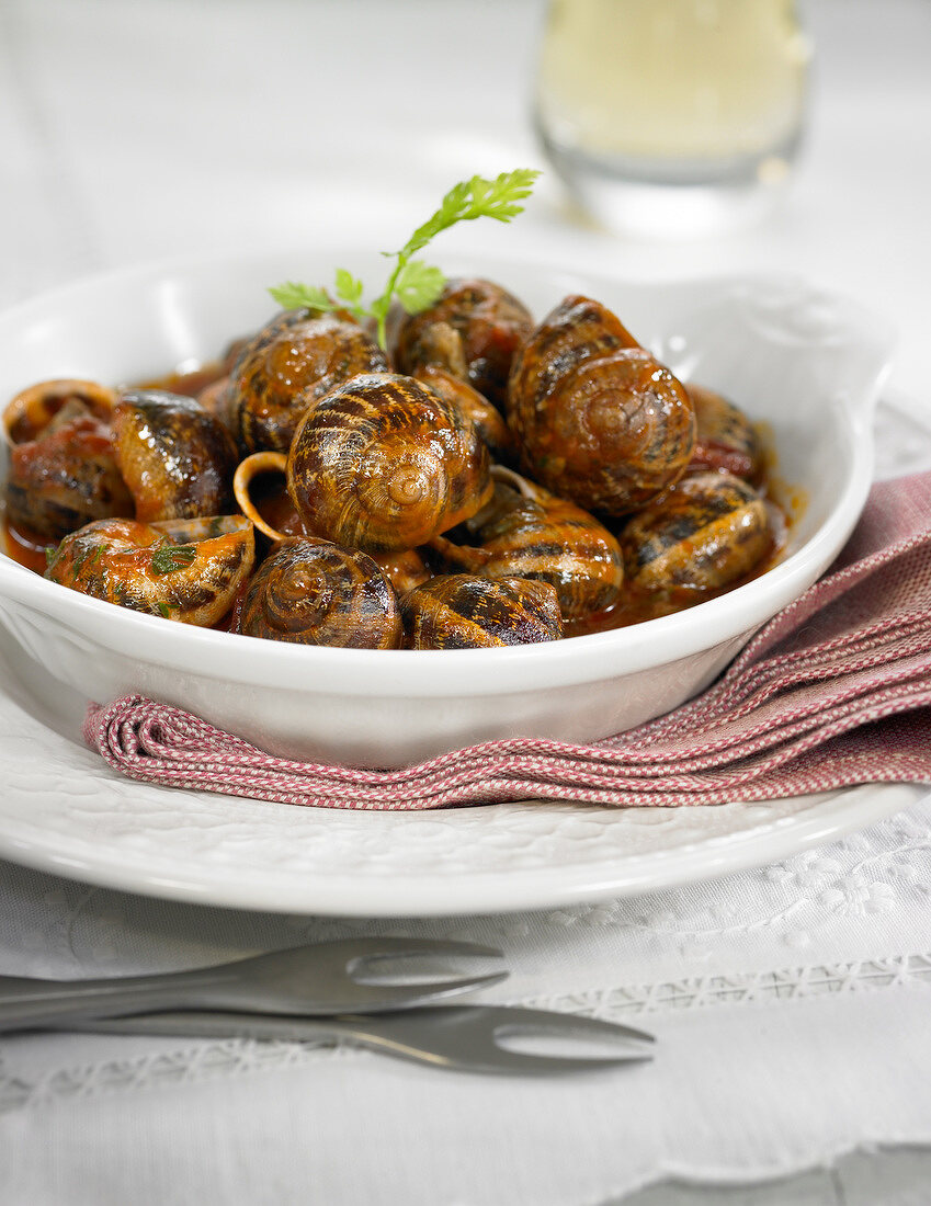 Schnecken in Tomatensauce