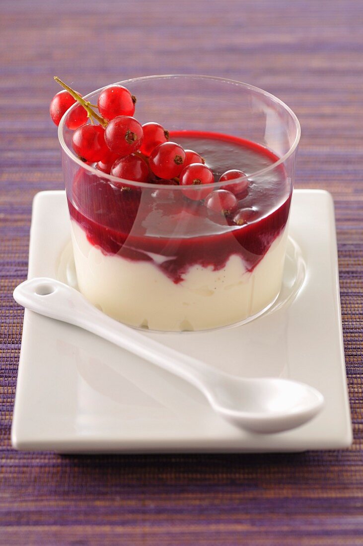 Panna Cotta mit roter Johannisbeersauce