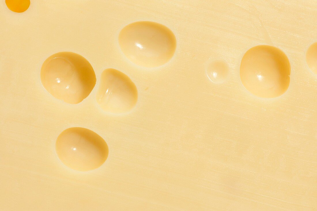 Close-up of a piece of Emmental cheese