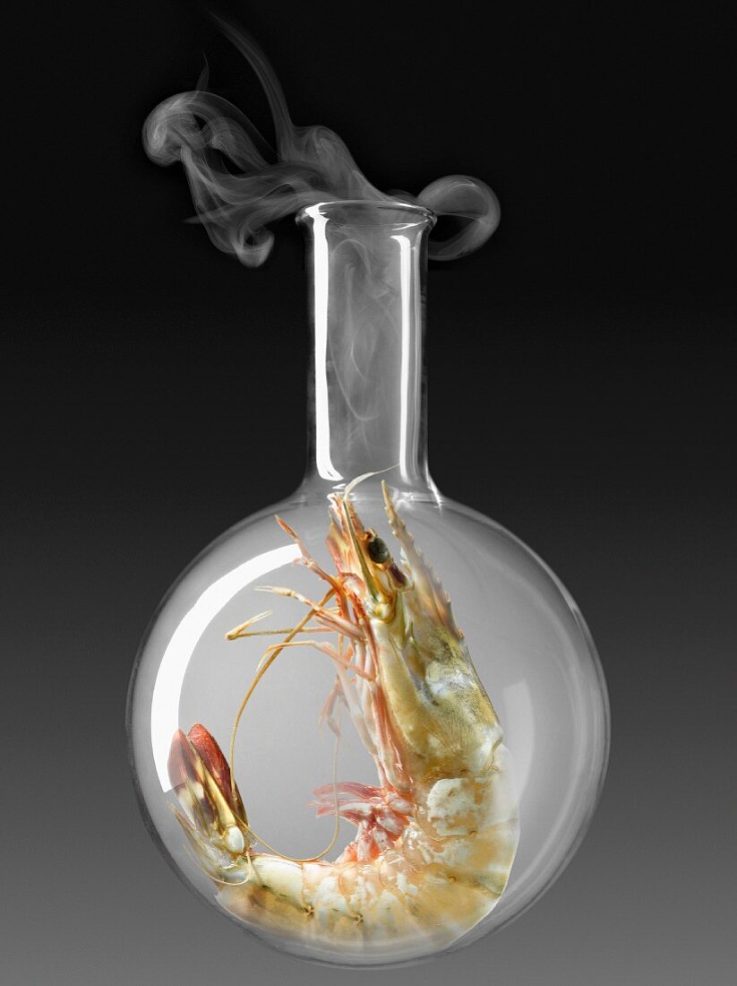 Shrimp in a glass chemical testing bottle