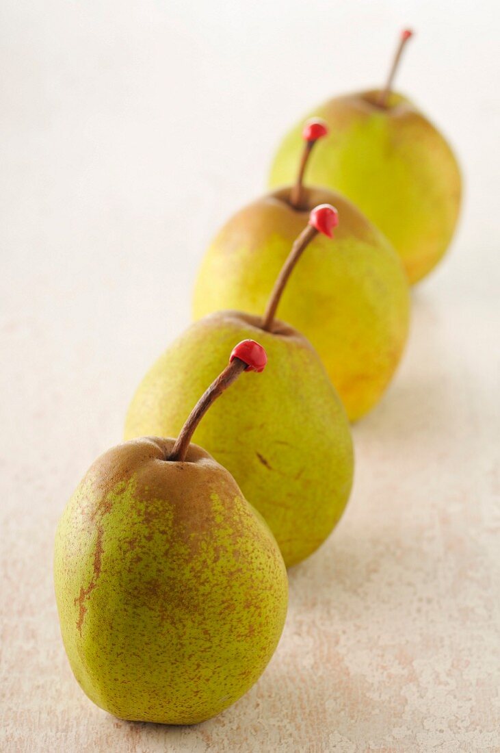 Passe-crassane pears