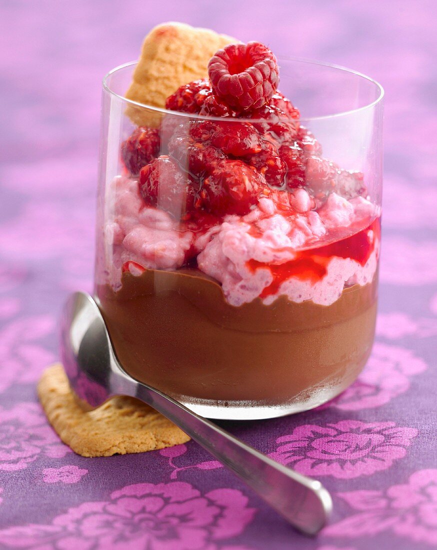 Chocolate cream dessert with raspberry mousse