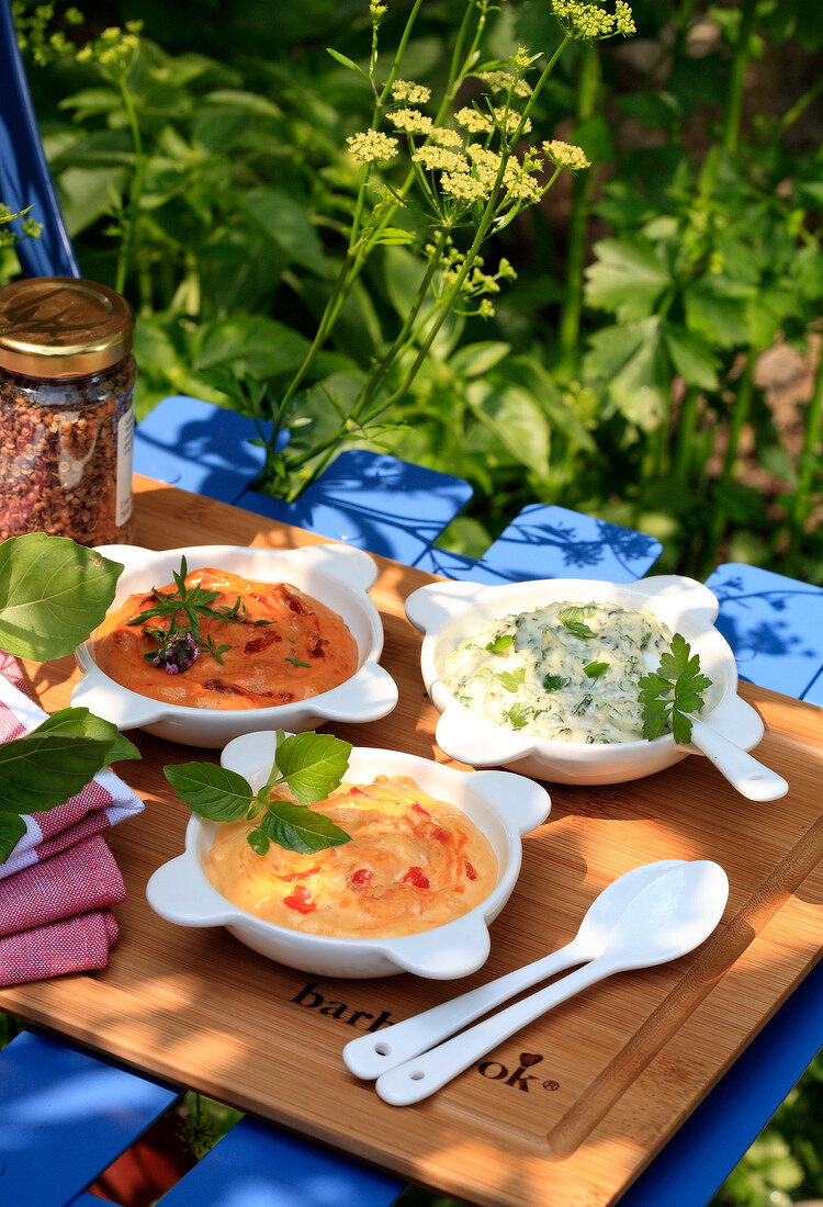 Selection of sauces for a barbecue