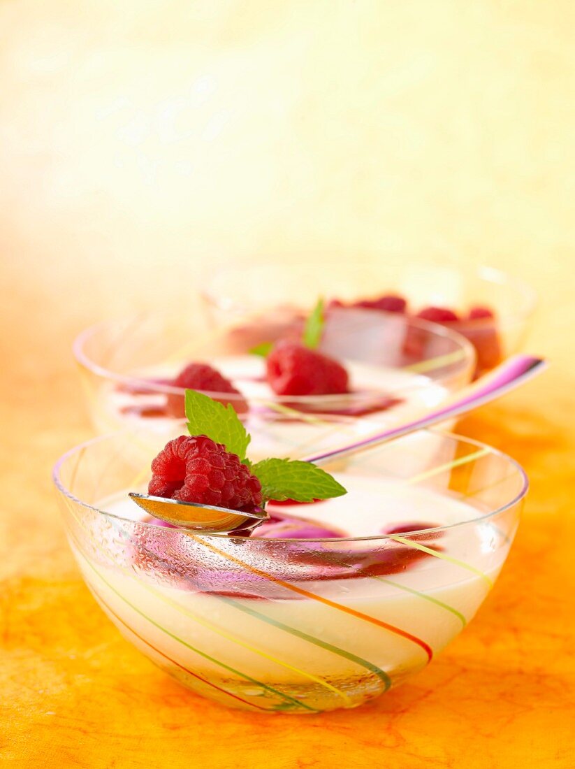 Panna Cotta mit Himbeeren