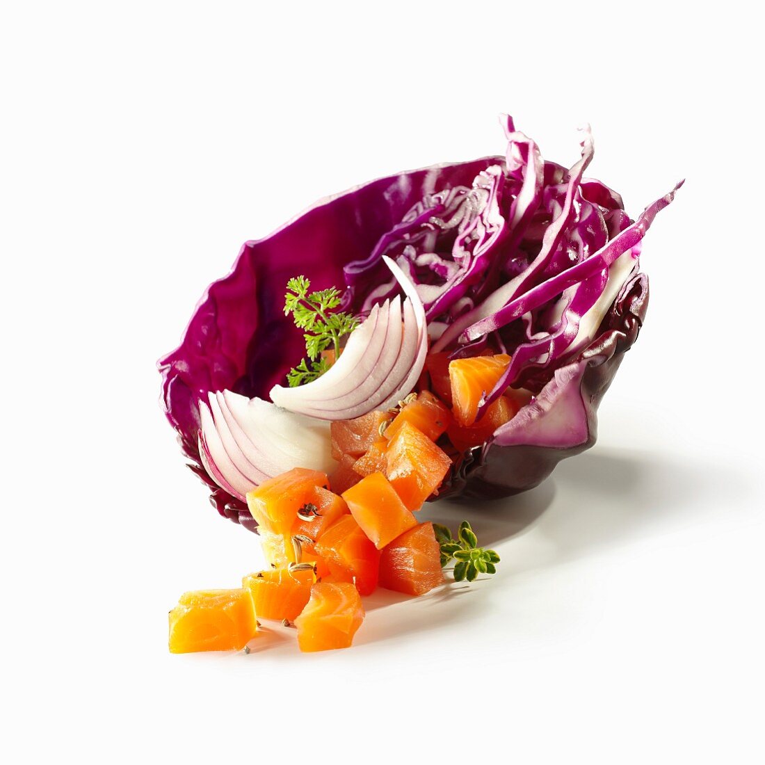 Raw salmon and red cabbage salad