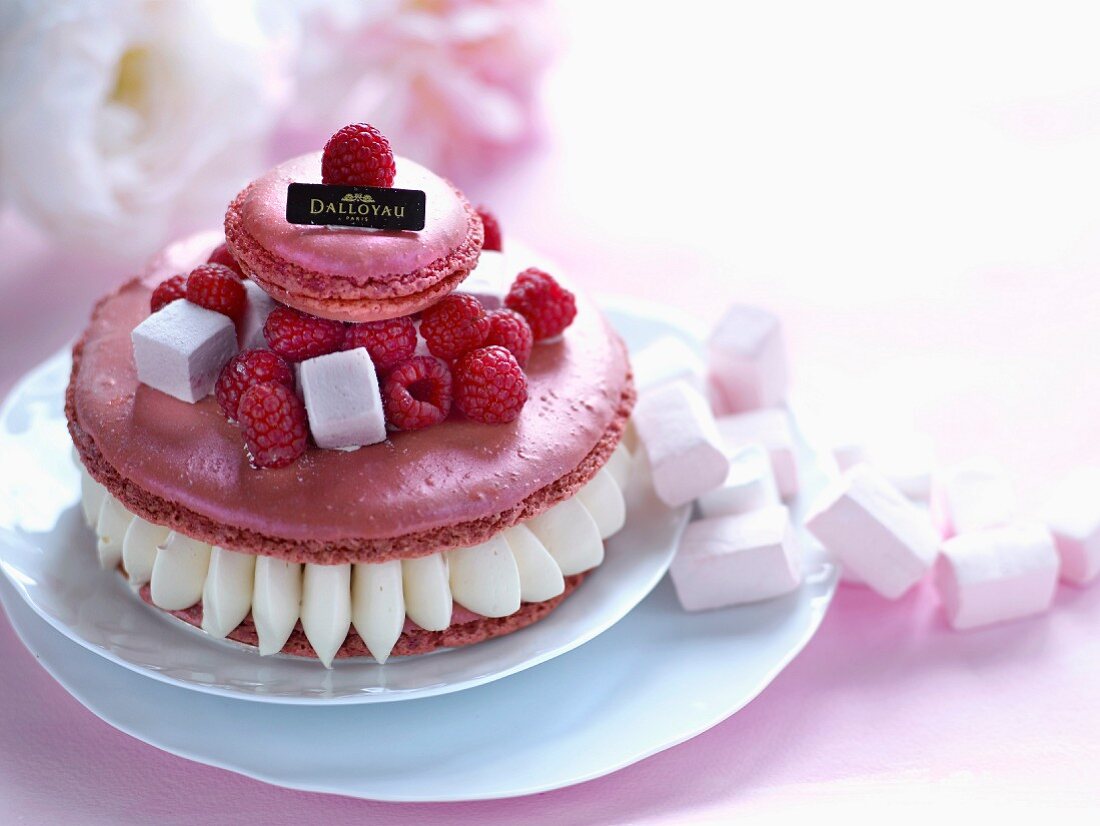 Macaron de rêve raspberry melba