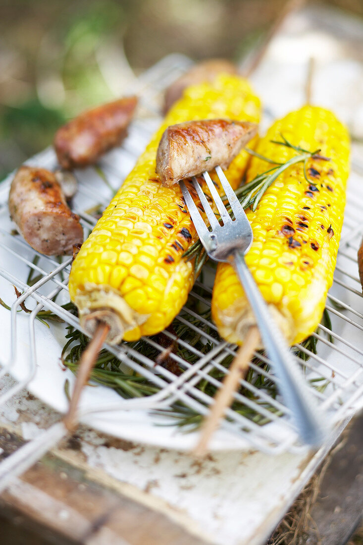 Grilled corn on the cobs and sausages