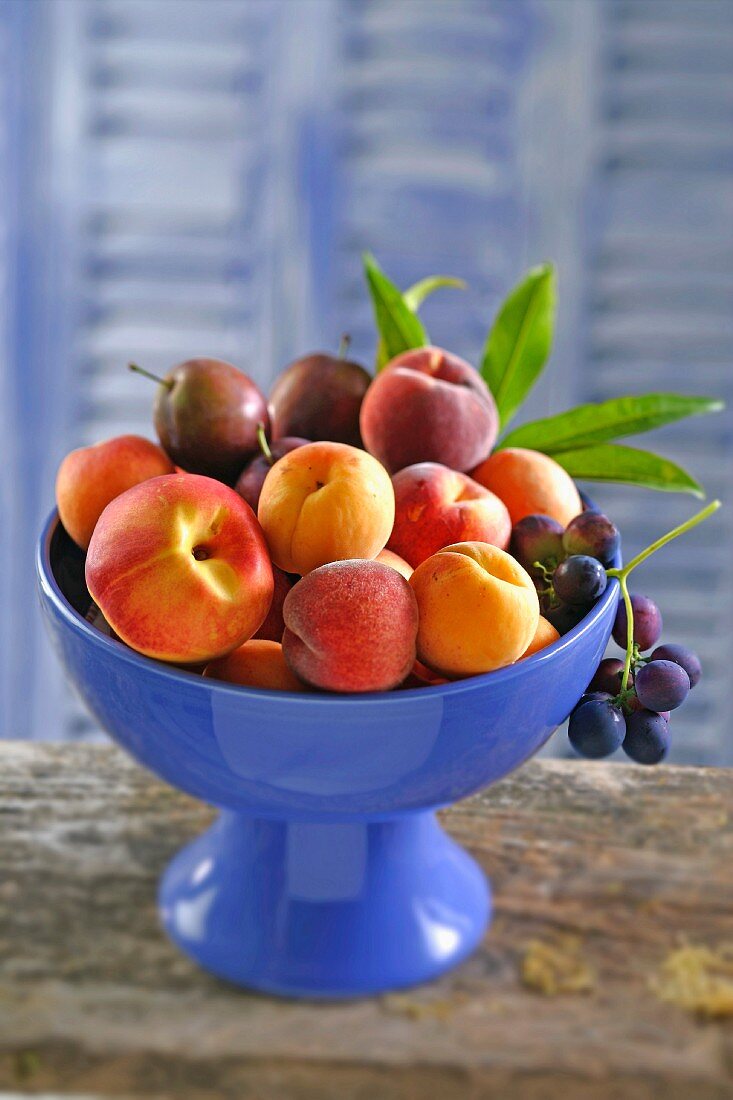 Bowl of fresh fruit