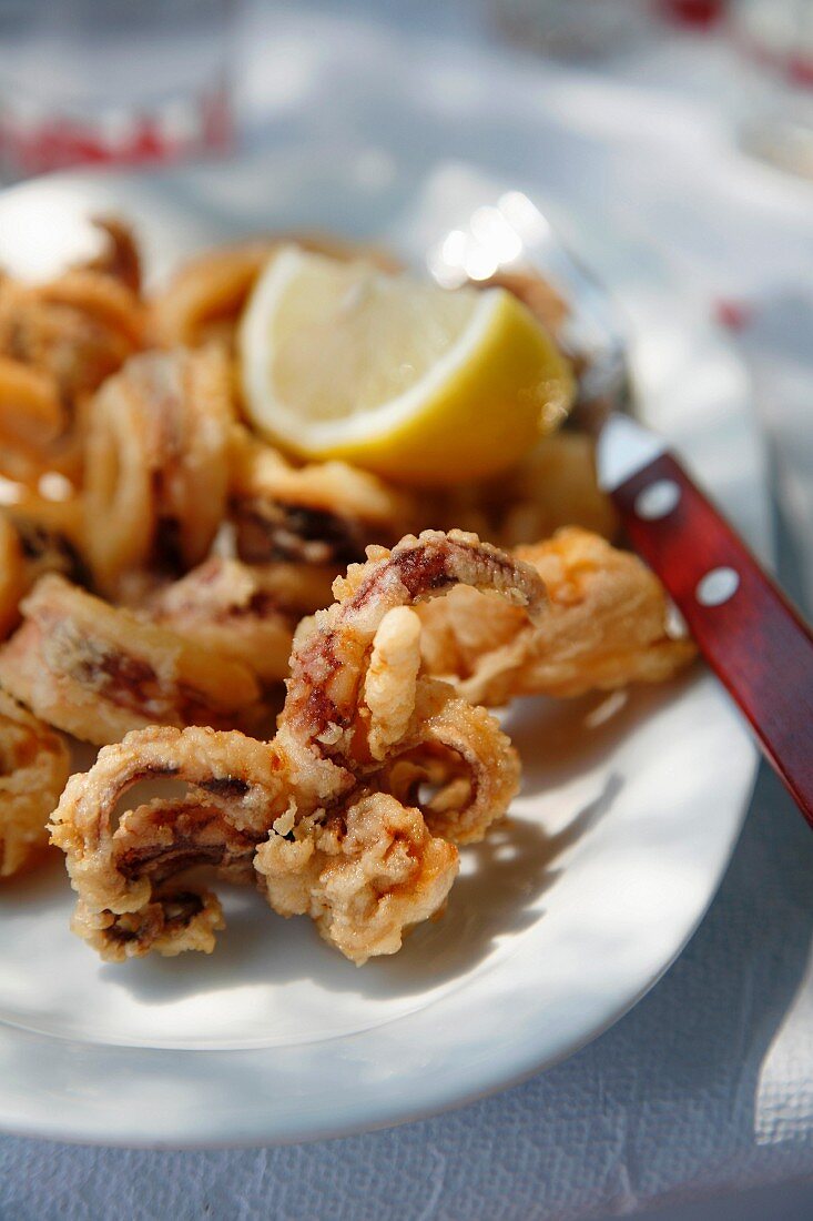 Fried calamaries