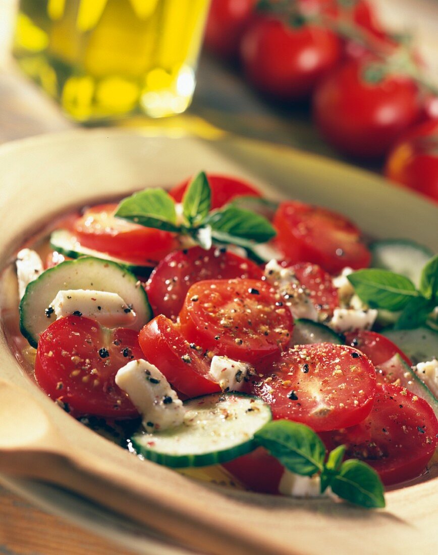 Tomatensalat mit Gurke, Mozzarella und Basilikum