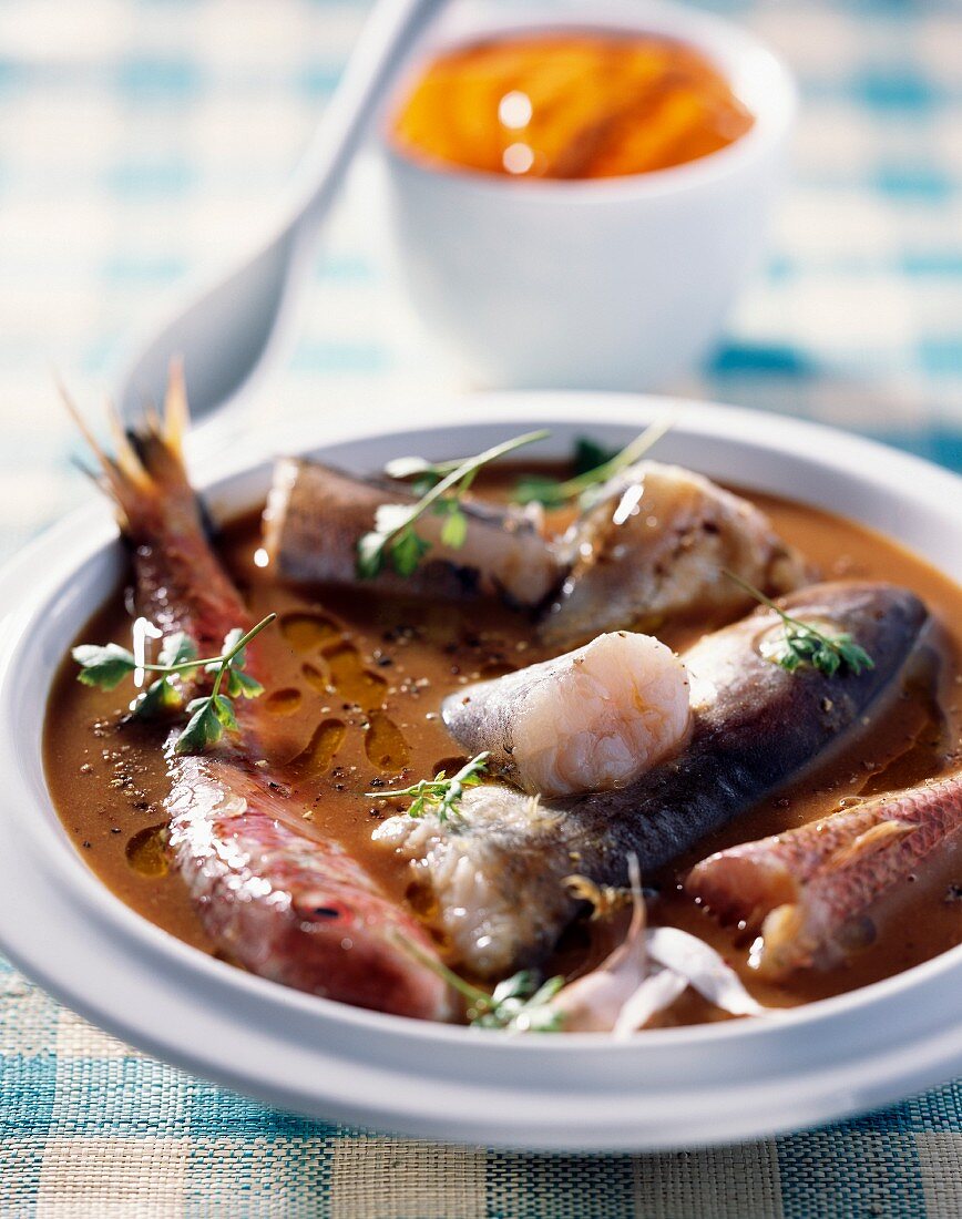 Bouillabaisse