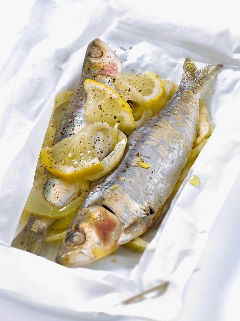 Sardinen mit Fenchel und Zitrone