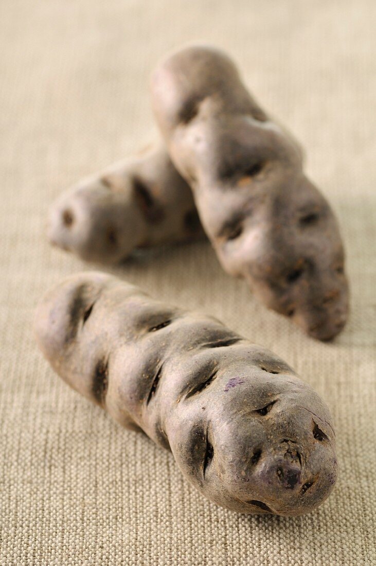 Vitelotte potatoes