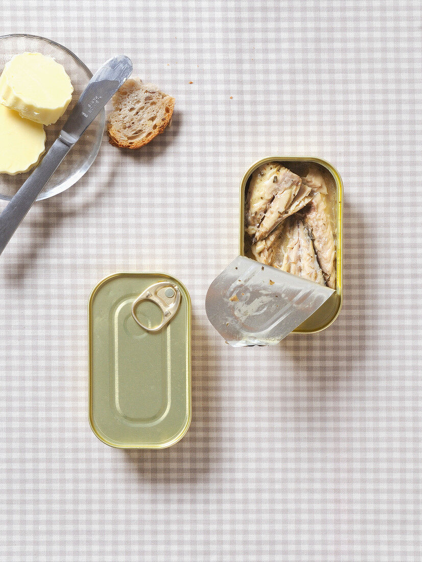 Geschlossene und geöffnete Dose Makrelen in Weißwein auf kariertem Tischtuch mit Brot und Butter