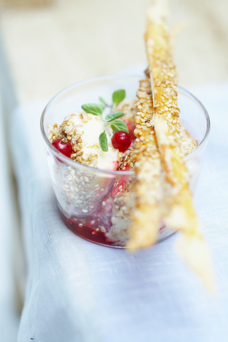 Yoghurt and sesame seed ice cream with redcurrant puree and crisp biscuits