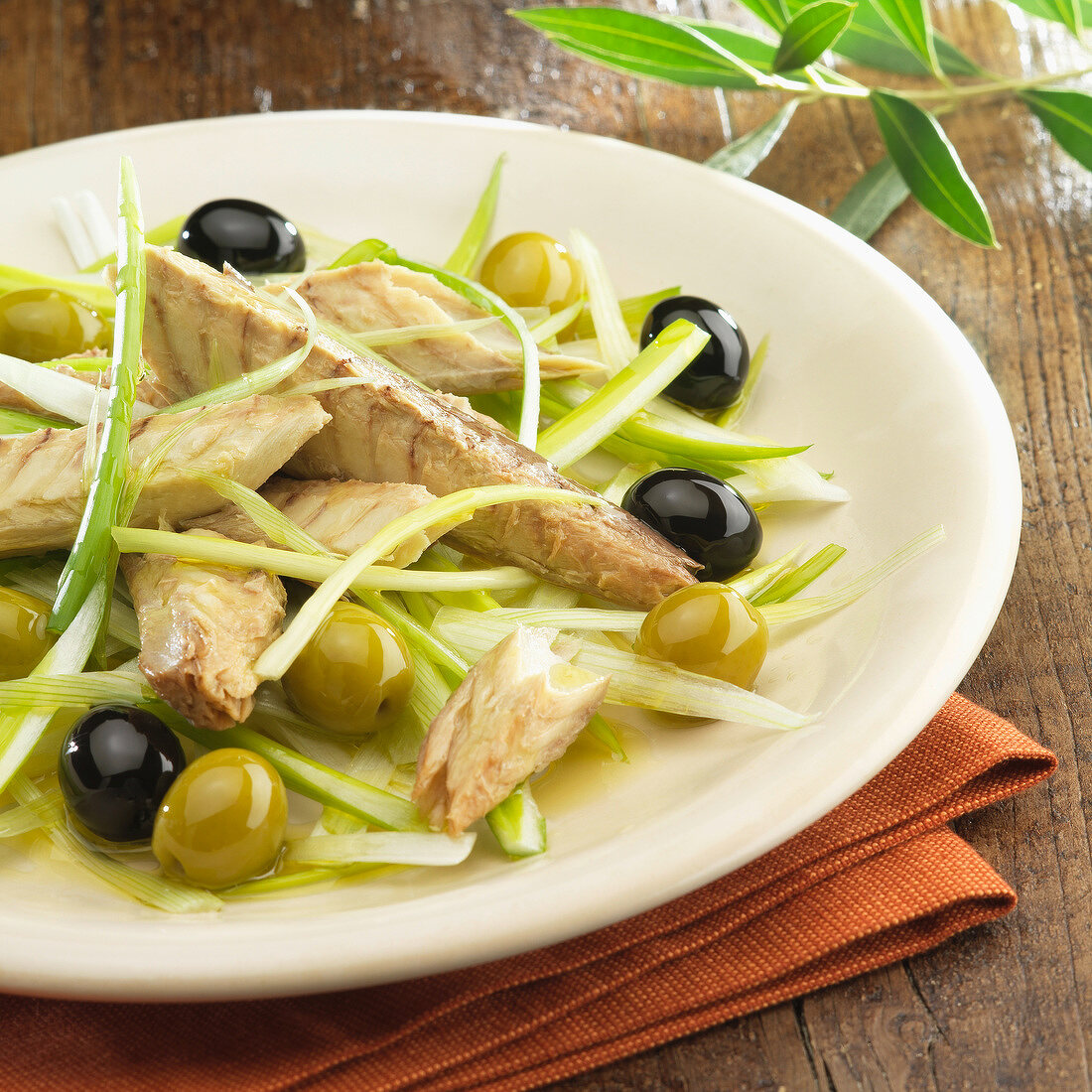 Mackerel on spring onion salad with black and green olives