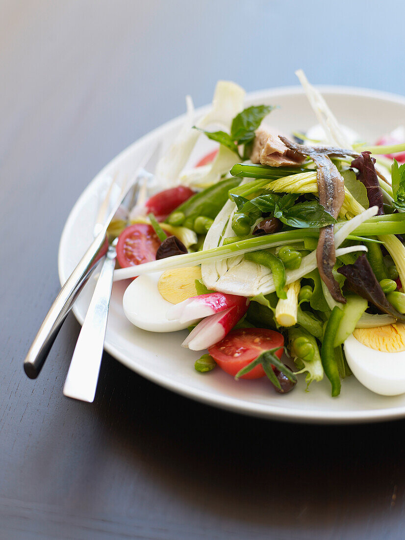 Traditionnal niçoise salad with no cooked vegetbles