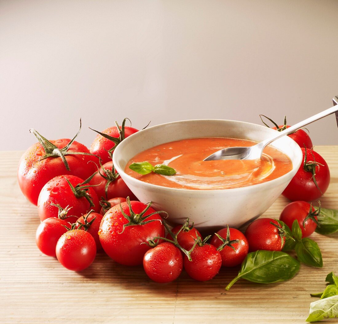 Tomaten-Rahm-Suppe mit Basilikum