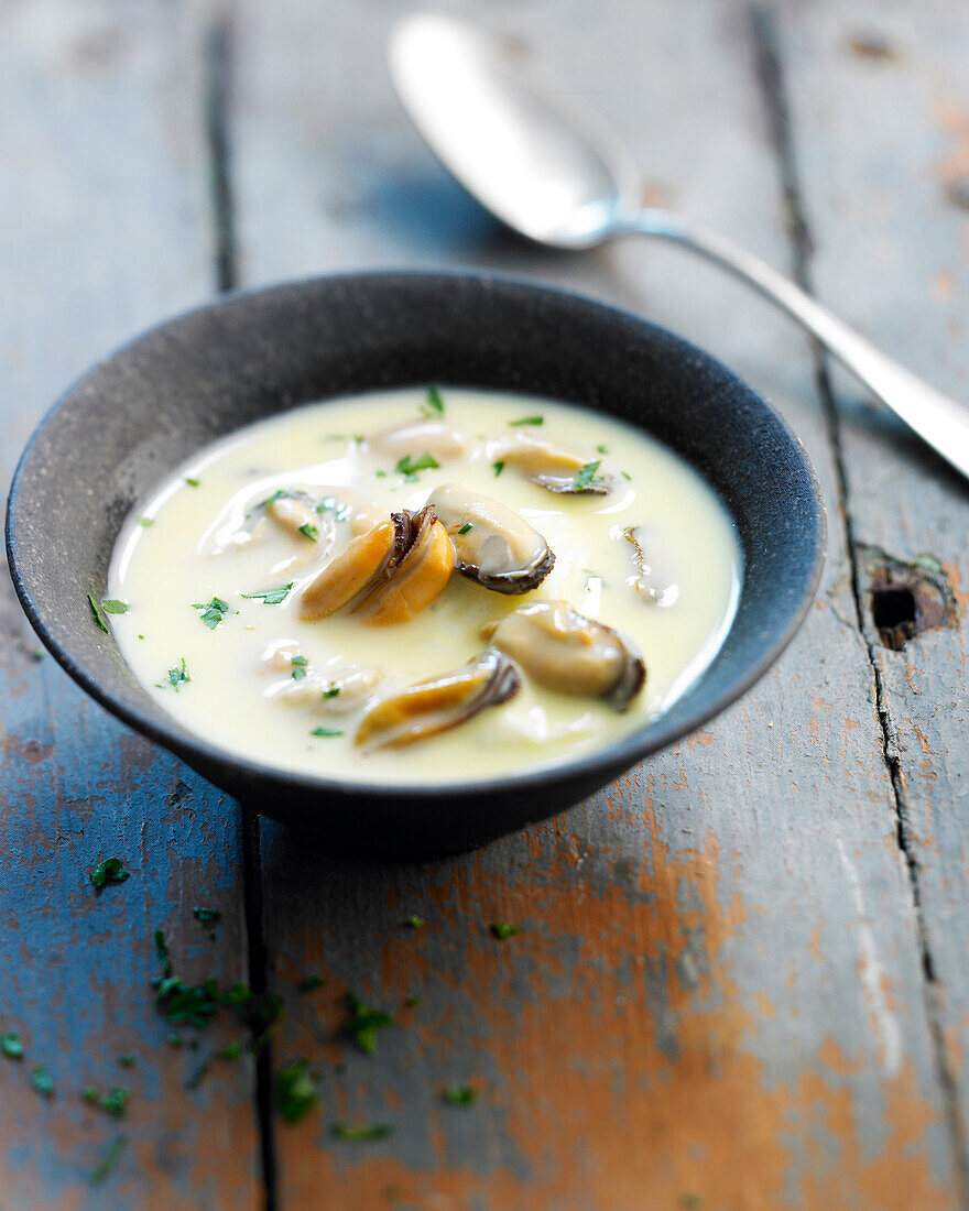 Mussel chowder