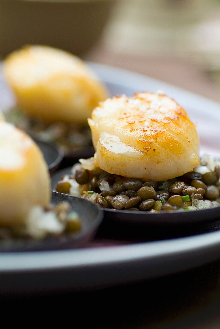 Green lentils with pan-fried scallops