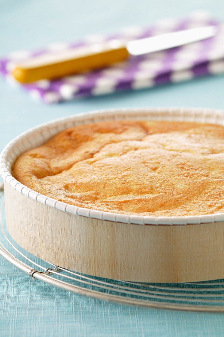 Gâteau à la brousse (Käsekuchen mit Schafsfrischkäse, Frankreich)