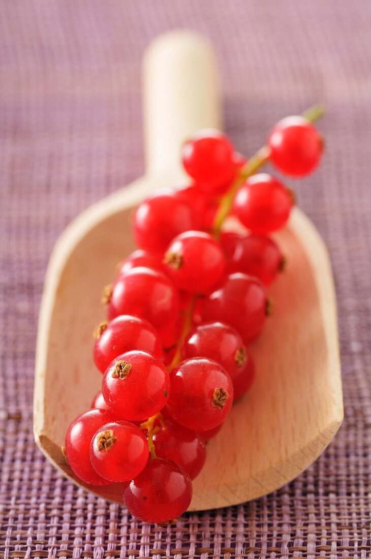 Redcurrants