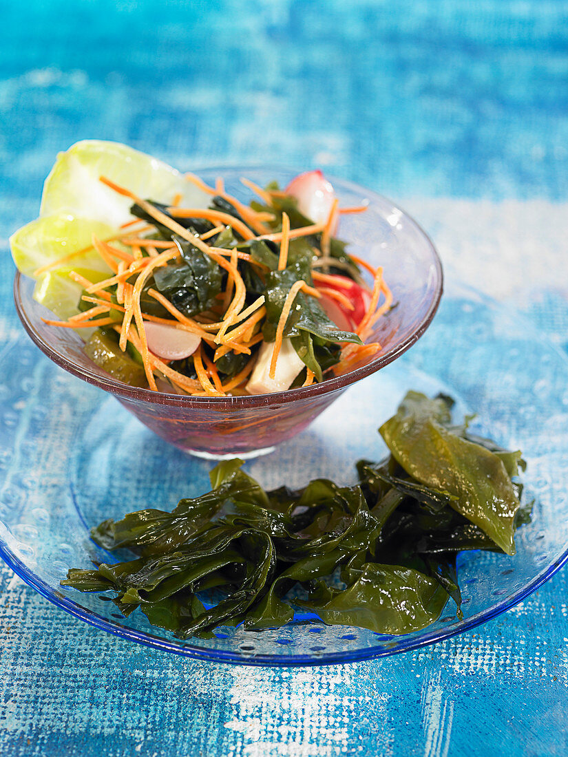 Wakame seaweed, tofu, carrot, radish and tomato salad