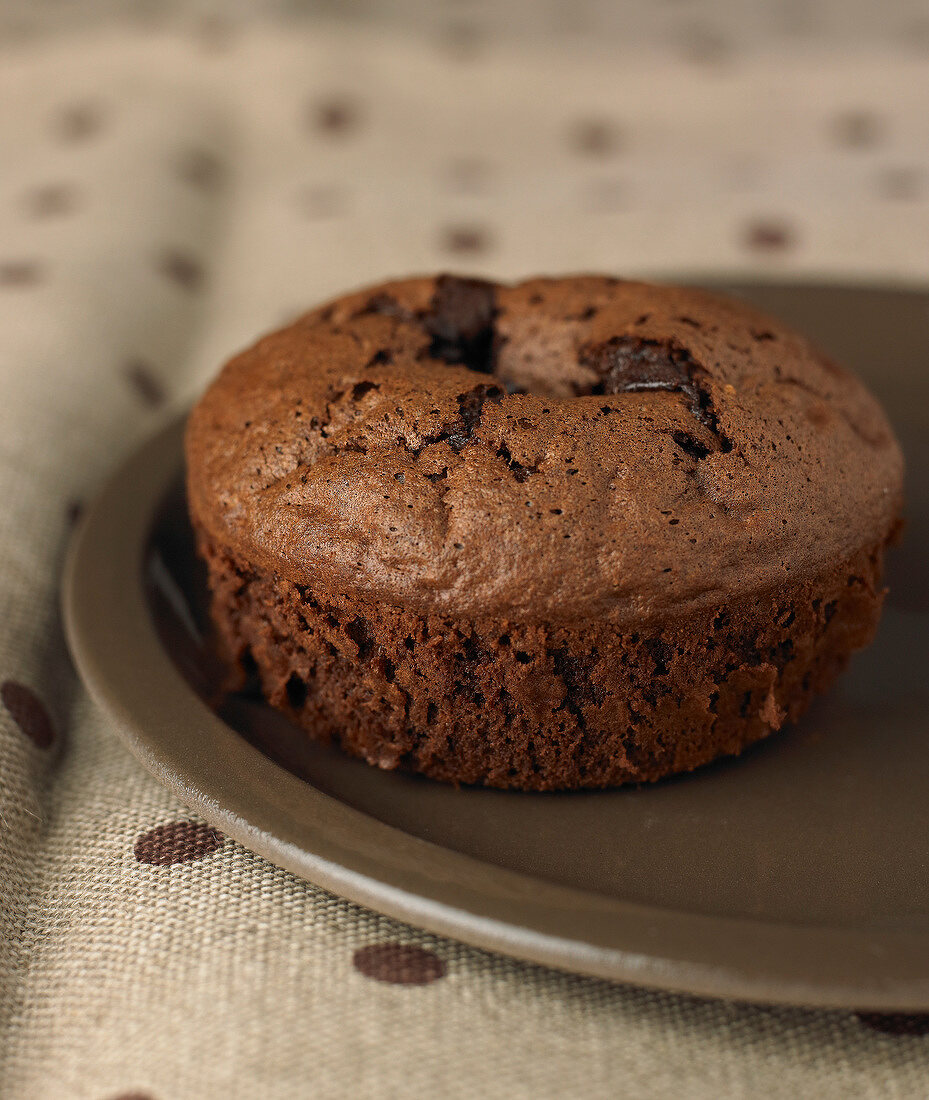 Chocolate-Chip-Brownie