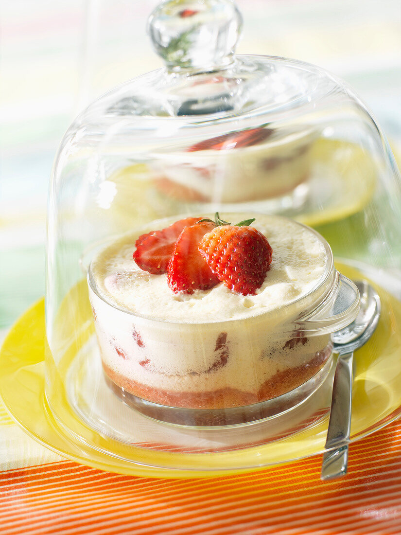 Strawberry Tiramisu