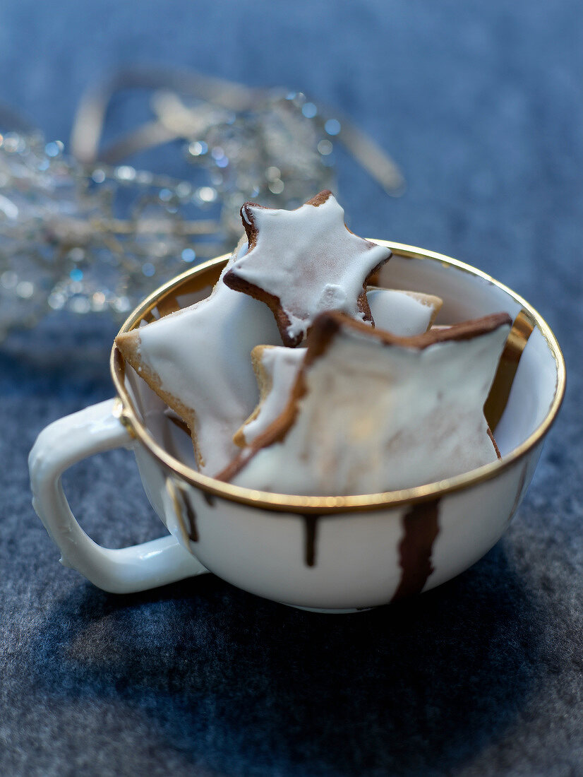 Soft cinnamon cookies with frosting