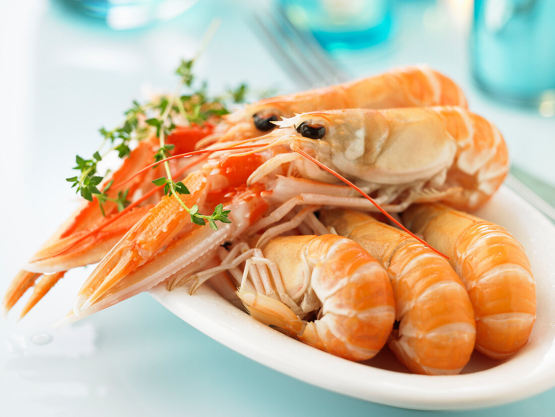 Dublin Bay prawns