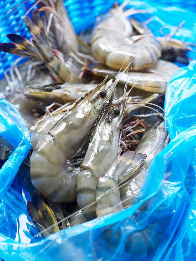 Raw shrimps from Madagascar