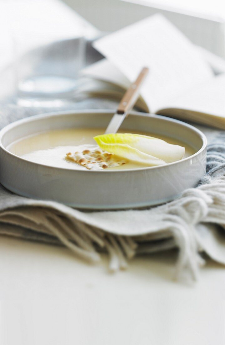 Cream of chicory soup