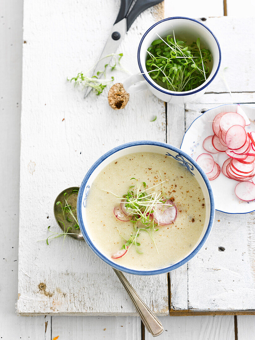 Radieschensuppe mit Kresse