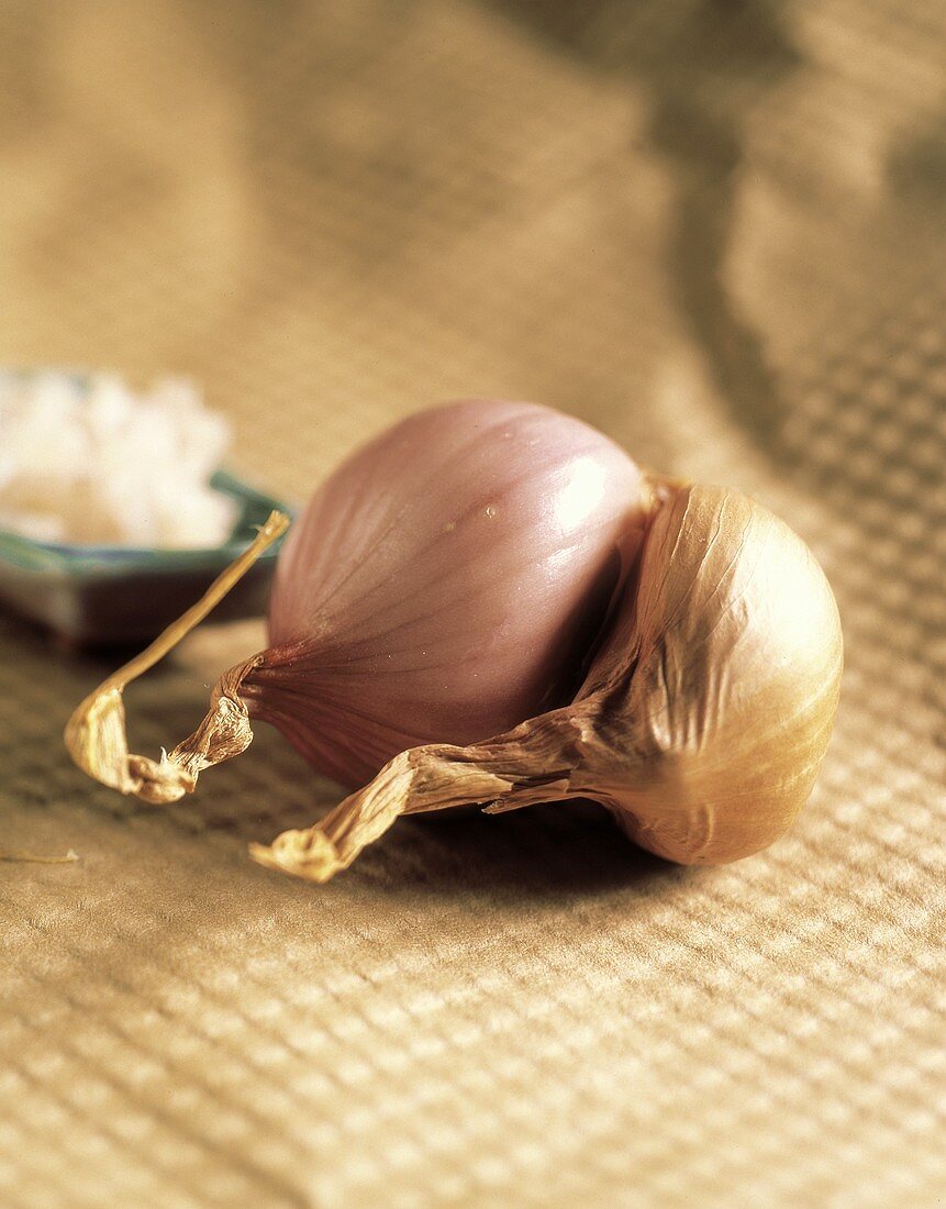 A Red Onion and a Shallot on a Cloth