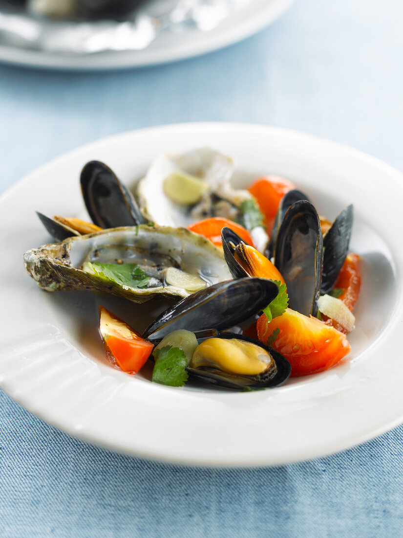 Gedämpfte Austern und Miesmuscheln mit Tomaten