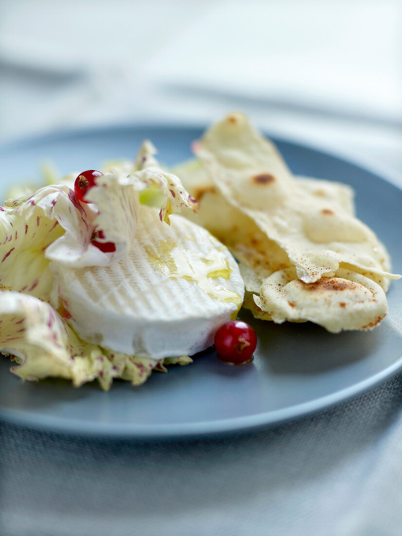 Goat's cheese with redcurrants and spicy crisp bread