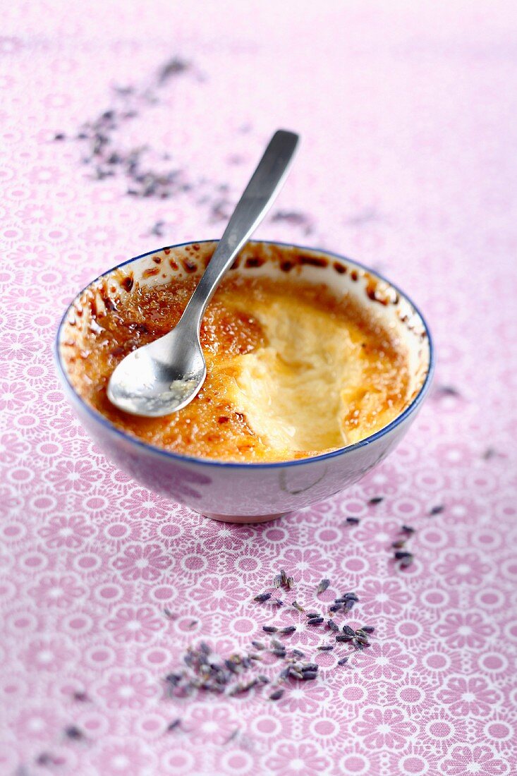 Crème brûlée mit Lavendel