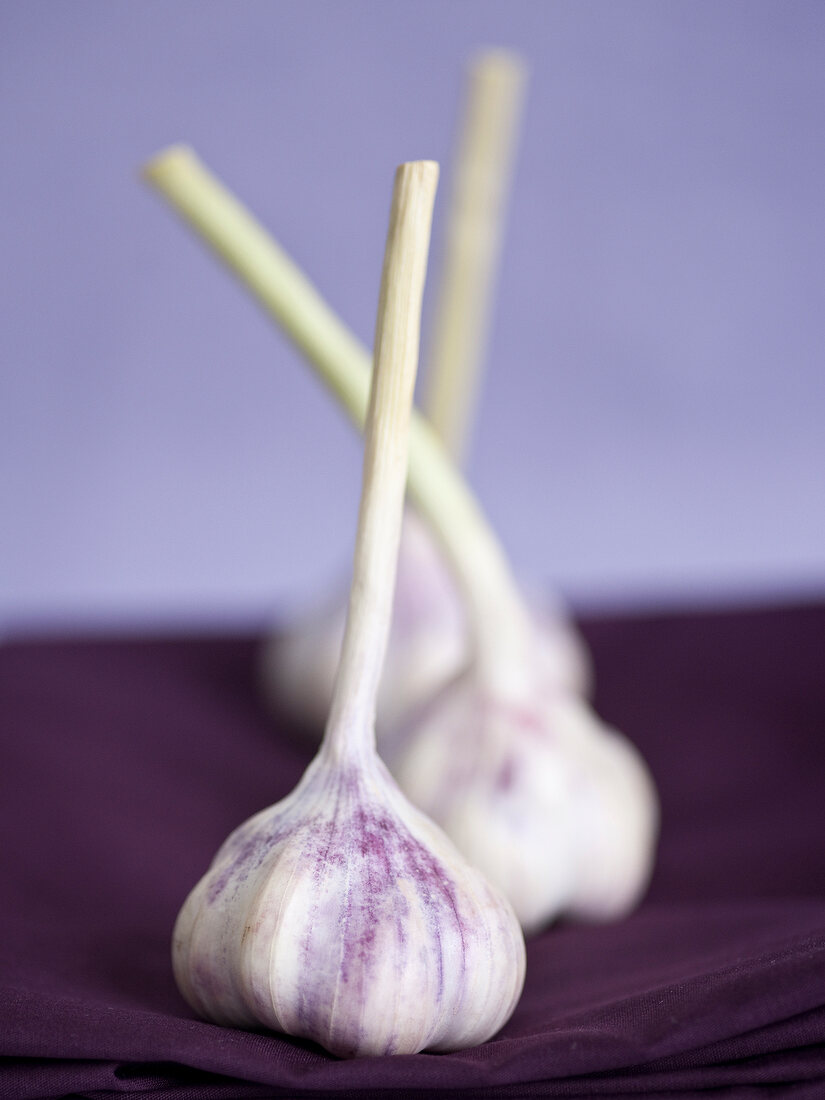 Heads of garlic