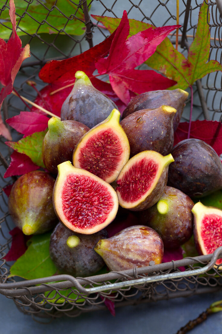 Basket of fresh figs