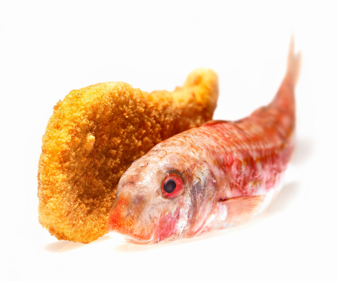 Ganze rohe Rotbarbe und panierter Fisch vor weißem Hintergrund
