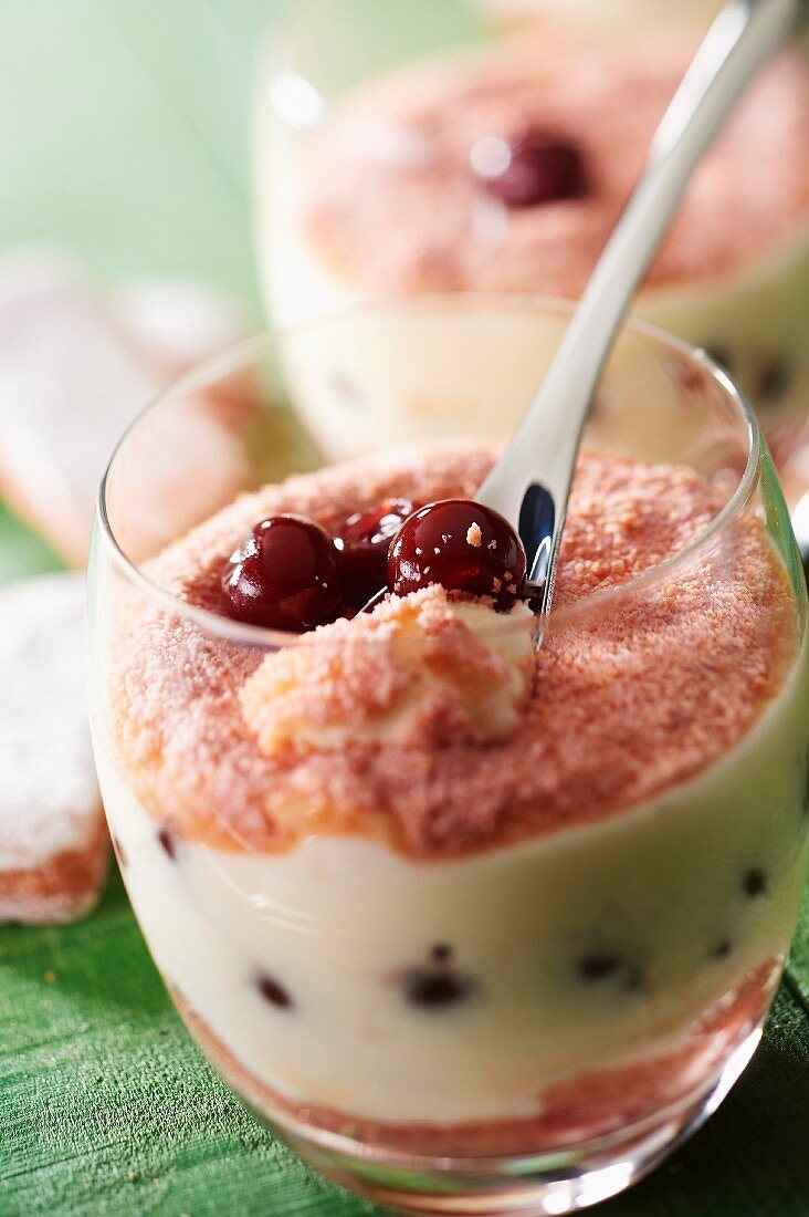 Tiramisu mit eingelegten Griottines-Kirschen und rosa Biskuit aus Reims