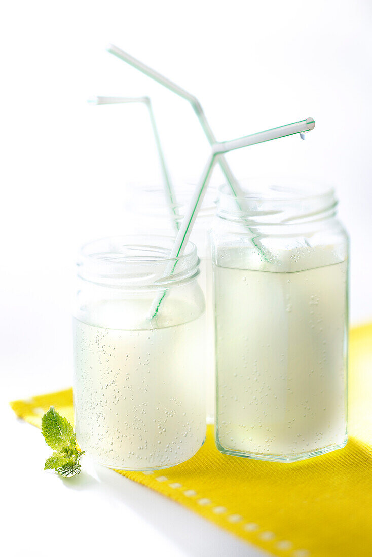 Homemade mint lemonade (vegan)