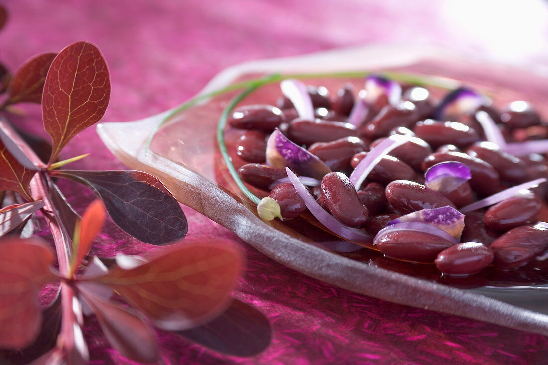 Roter Bohnensalat mit Rübchen