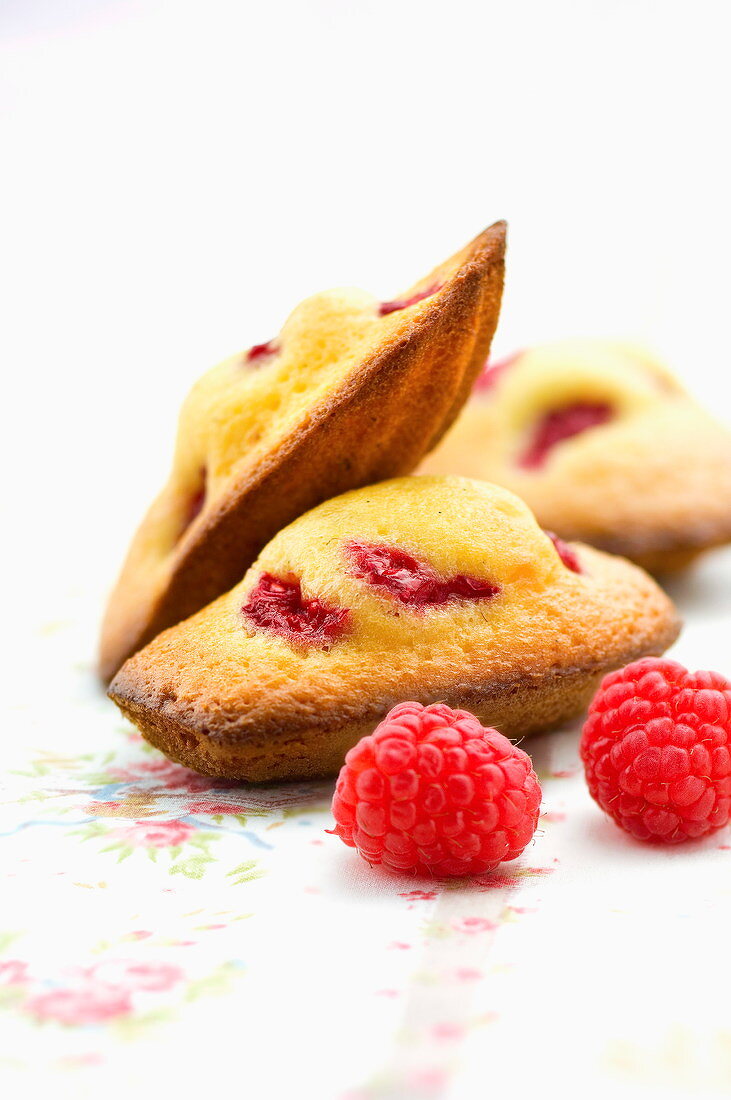 Raspberry Madeleines