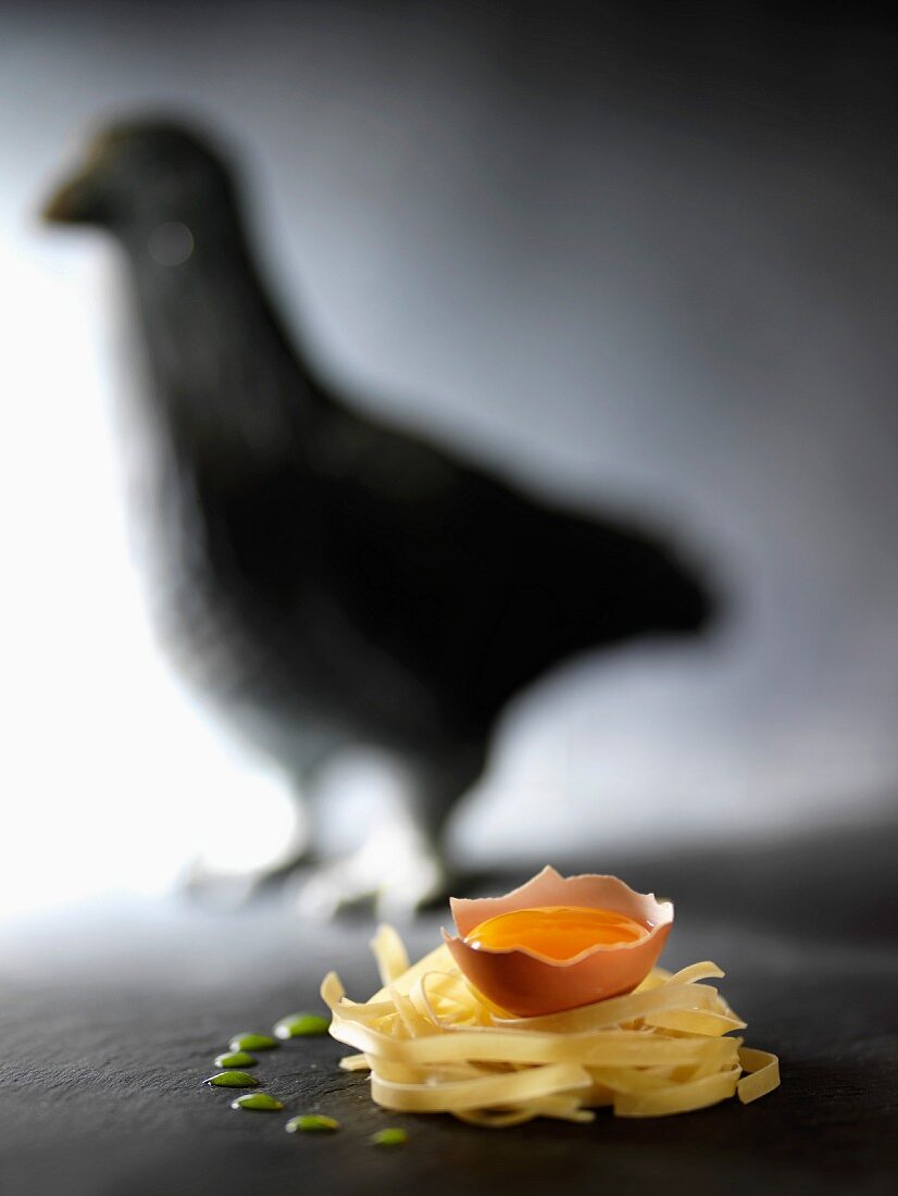 Egg yolk on a nest of tagliatelles,shadow of a hen