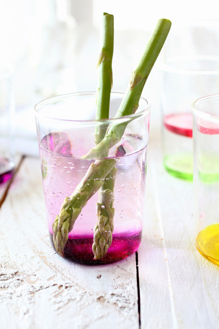 Green asparagus paint brushes