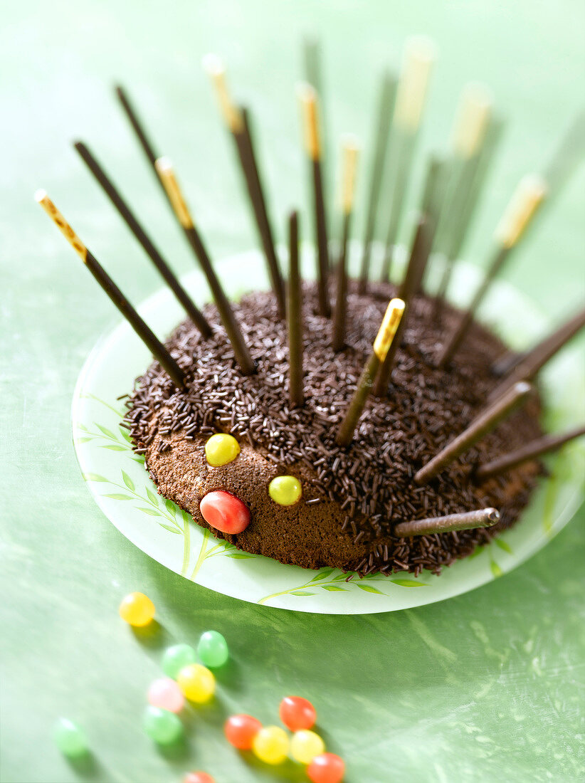 Igel-Kuchen mit Mikado Zartherbe Schokolade